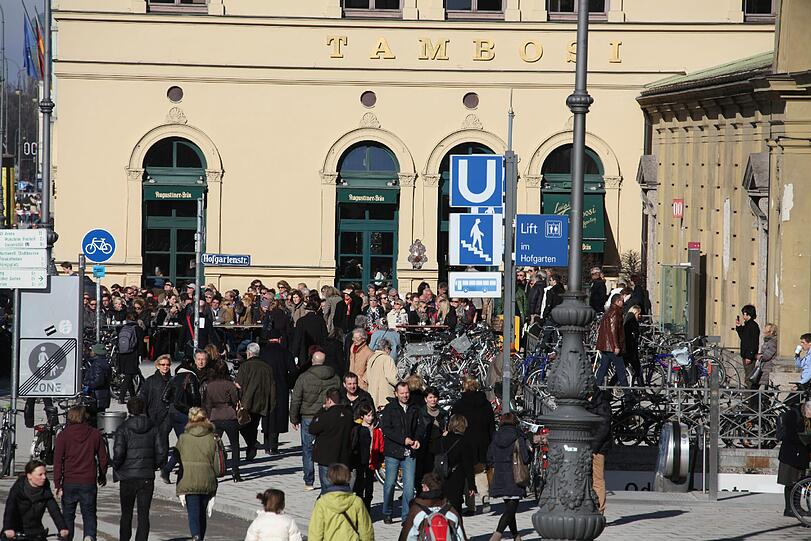 Es wird langsam wieder wärmer in München: Der Frühling liegt in der Luft. Die Bilder aus München