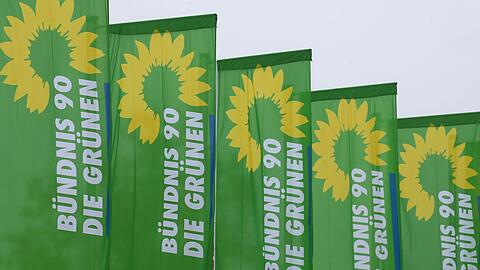 Fahnen der Partei Bündnis 90 Die Grünen sind vor der Inselhalle aufgezogen.