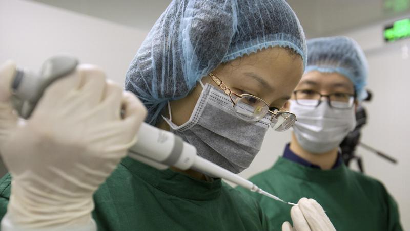 Zhou Xiaoqin (l.) lädt in einem Labor in Shenzhen Cas9-Protein und PCSK9 sgRNA-Moleküle in eine feine Glaspipette. Zhou Xiaoqin (l.) lädt in einem Labor in Shenzhen Cas9-Protein und PCSK9 sgRNA-Moleküle in eine feine Glaspipette.