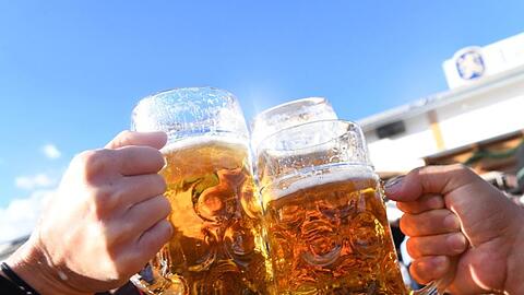 Besucher stoßen auf dem Oktoberfest mit Maßkrügen an. Foto: Felix Hörhager/dpa/Archiv/Symbolbild