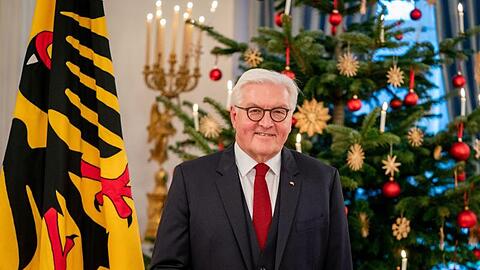 Bundespräsident Frank-Walter Steinmeier im Schloss Bellevue.