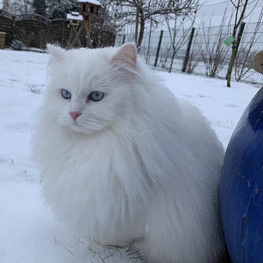 Marie