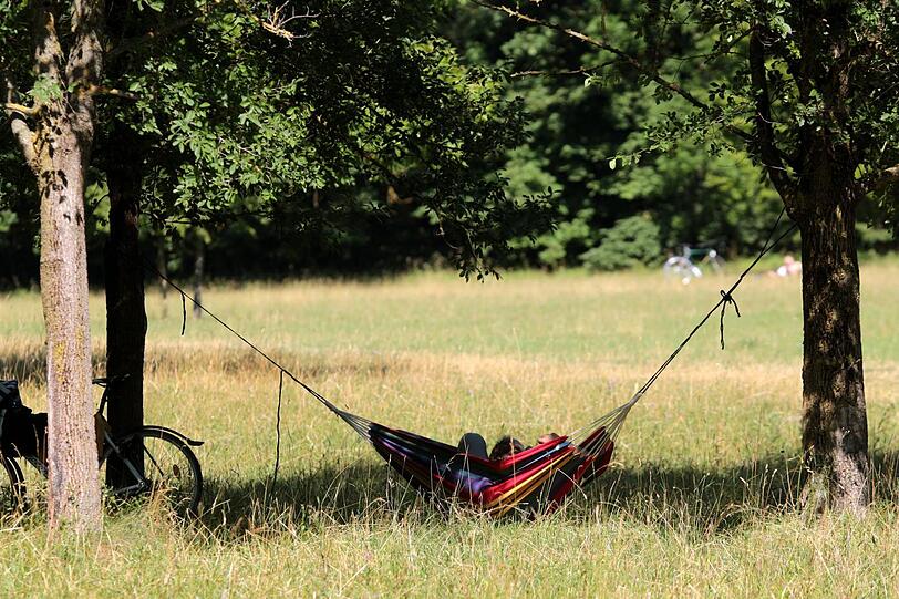 Für Menschen kann es im Norden des Englischen Gartens sehr idyllisch sein. Für Bienen aber auch!