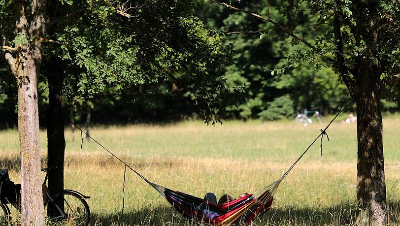 Für Menschen kann es im Norden des Englischen Gartens sehr idyllisch sein. Für Bienen aber auch! Für Menschen kann es im Norden des Englischen Gartens sehr idyllisch sein. Für Bienen aber auch!