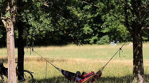 Für Menschen kann es im Norden des Englischen Gartens sehr idyllisch sein. Für Bienen aber auch!