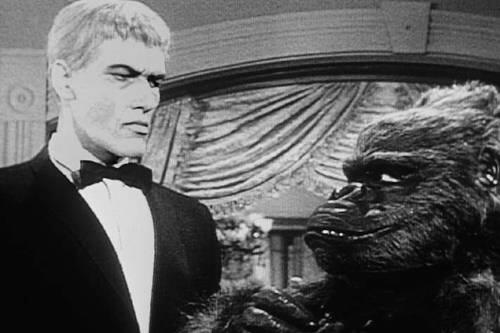 Tierlieb: Pugsley (Ken Weatherwax), ein Mitglied der &bdquo;Addams Family".