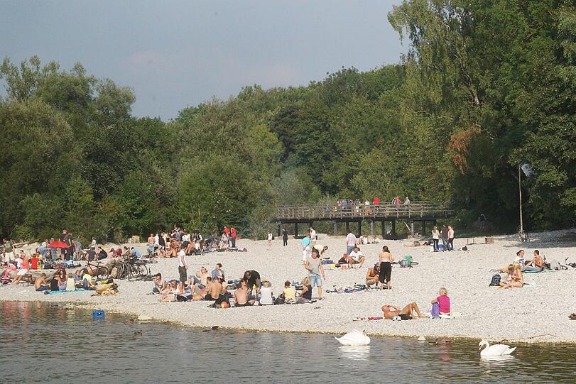 Zwei Schwäne schwimmen pittoresk in der Isar... und ein Kasten Bier.