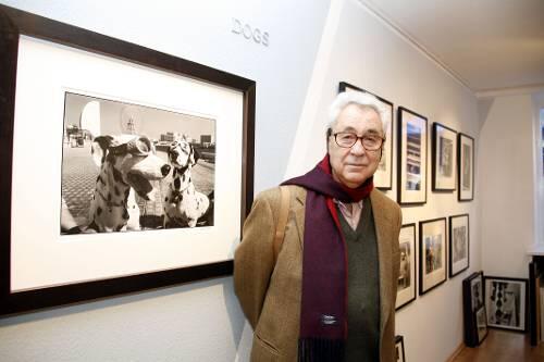 In München schaut der Künstler gern persönlich vorbei: Elliott Erwitt vor seiner Serie "Dogs" in der Galerie Stephen Hoffmann.