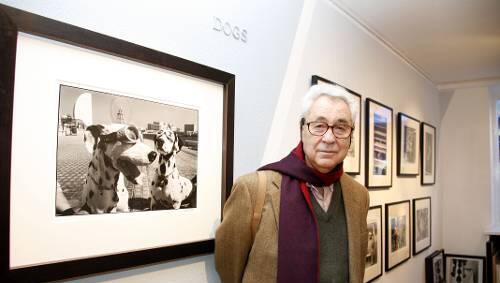 In München schaut der Künstler gern persönlich vorbei: Elliott Erwitt vor seiner Serie "Dogs" in der Galerie Stephen Hoffmann. In München schaut der Künstler gern persönlich vorbei: Elliott Erwitt vor seiner Serie "Dogs" in der Galerie Stephen Hoffmann.