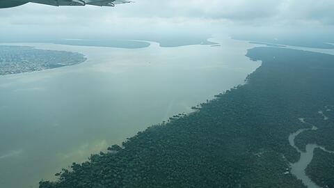 Durch den an die Millionenstadt Bel&eacute;m grenzenden Wald flie&szlig;t der Fluss Guama.