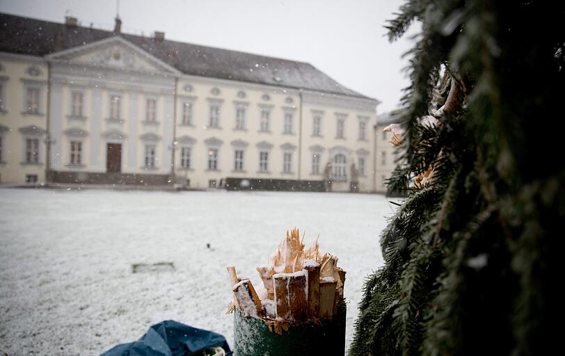 Der entwurzelte Weihnachtsbaum vor dem Schloss Bellevue, dem Amtssitz des Bundespräsidenten Joachim Gauck in Berlin.