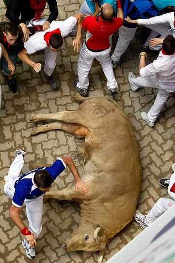 Stierhatz brutal: Aktuelle Bilder aus Pamplona.