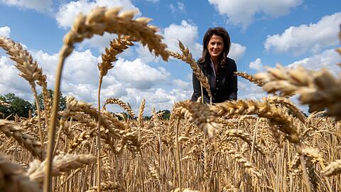 Landwirtschaftsministerin Michaela Kaniber spricht von einem witterungstechnisch wieder sehr schwierigen Jahr für die Bäuerinnen und Bauern.