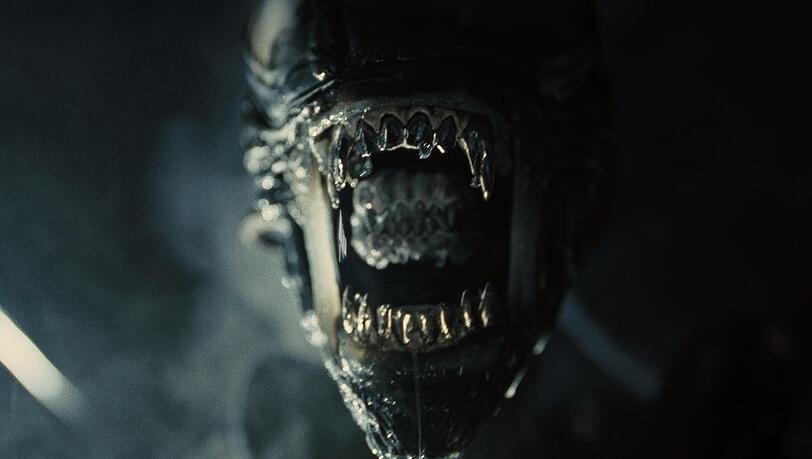 Große Klappe und viel dahinter: "Alien: Romulus" startet stark.