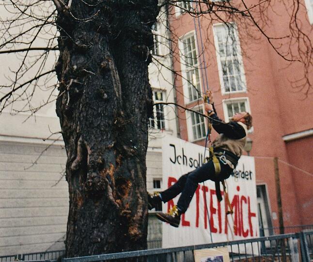 Maxvorstadt: Die stattliche Kastanie in der Türkenstraße wäre 1997 fast gefällt worden. Mit vereinten Kräften retteten die Anwohner den Baum.