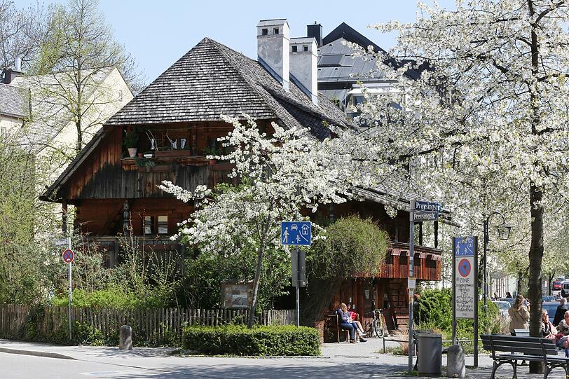 Kirschblüten am historischen Kriechbaumhof in Haidhausen.