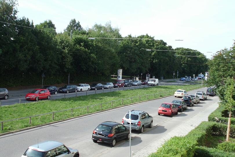 Auf dem breiten Grünstreifen in der Mitte der vielbefahrenen Straße wäre auf jeden Fall reichlich Platz für mehr Grün.