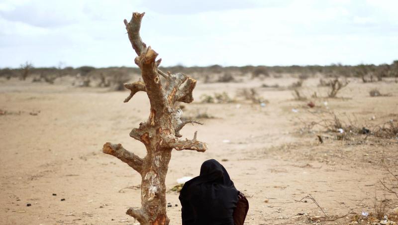 Eine schwangere Frau aus Somalia in der Nähe eines UNHCR Flüchtlingslagers in Kenia. Eine schwangere Frau aus Somalia in der Nähe eines UNHCR Flüchtlingslagers in Kenia.