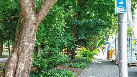 Hier am Rand des Alten Botanischen Gartens hat der Mann im Sommer 2025 die Sch&uuml;lerin begrapscht.