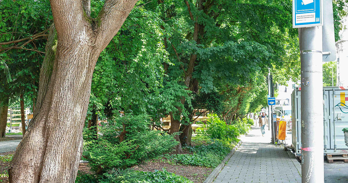 Sexueller-Missbrauch-am-Alten-Botanischen-Garten-Gericht-f-llt-Urteil