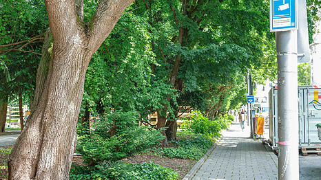 Hier am Rand des Alten Botanischen Gartens hat der Mann im Sommer 2025 die Sch&uuml;lerin begrapscht.