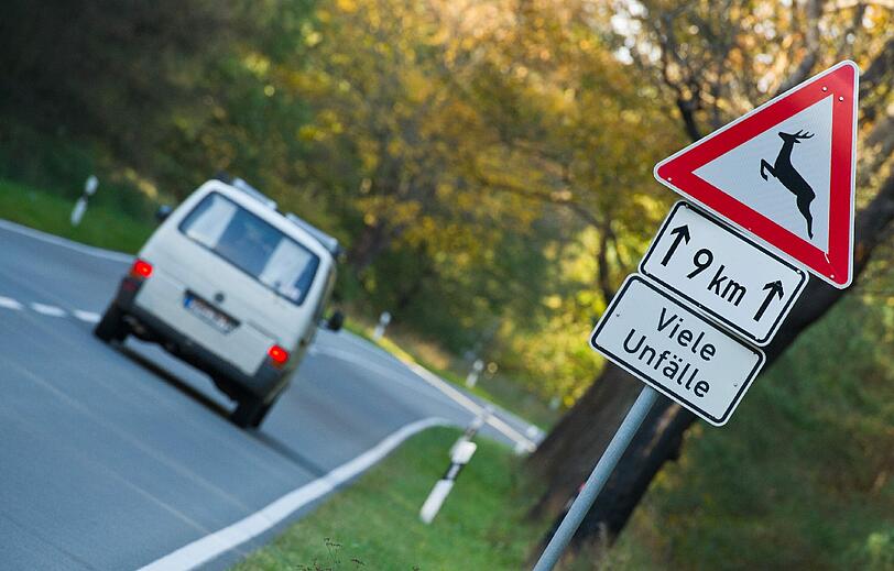 Wenn das Reh im Scheinwerferlicht auftaucht, ist es meist zu spät. Die App &bdquo;Wuidi&ldquo; warnt frühzeitig