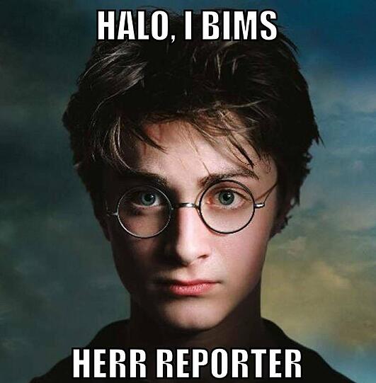 Der Herr Reporter