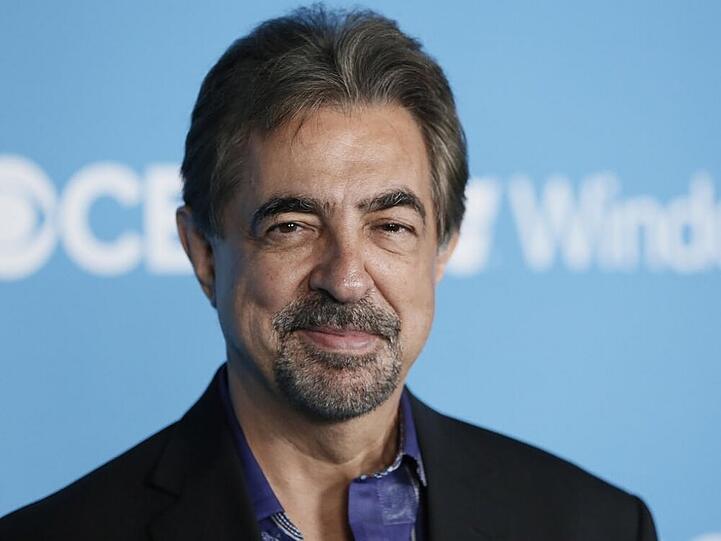 Joe Mantegna bei einer Premieren-Party in Hollywood