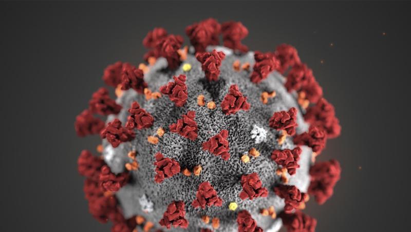 Darstellung eines Coronavirus. Darstellung eines Coronavirus.