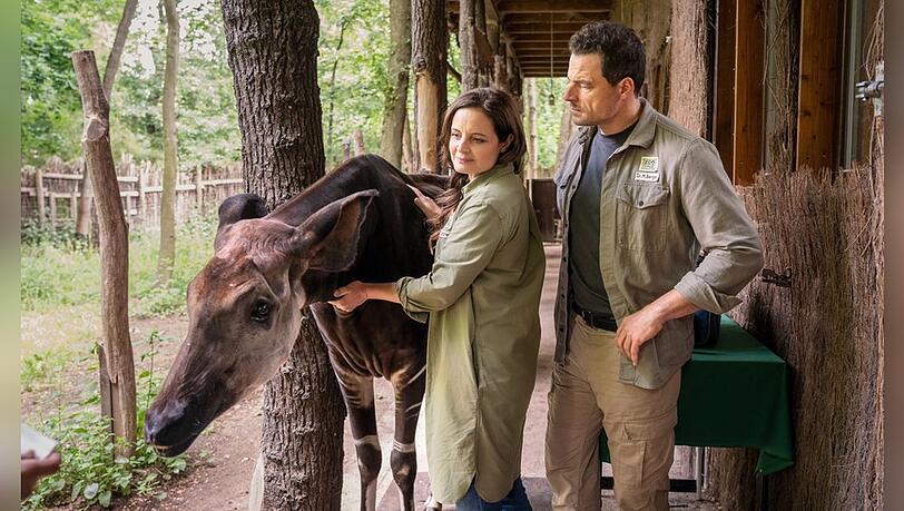 "Tierärztin Dr. Mertens": Dr. Susanne Mertens (Elisabeth Lanz, l.) und ihr neuer Kollege Dr. Matteo Berger (Tobias Licht, r.) machen sich Sorgen um Okapi "Kiano".