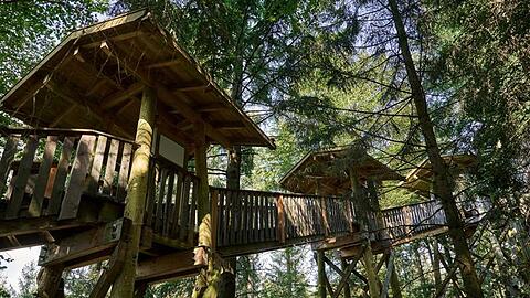 Duft von Tannennadeln und viel zu schauen: Einen Kilometer lang ist der Baumkronenweg im Naturerlebnispark Waldentdeckerwelt nahe Passau.