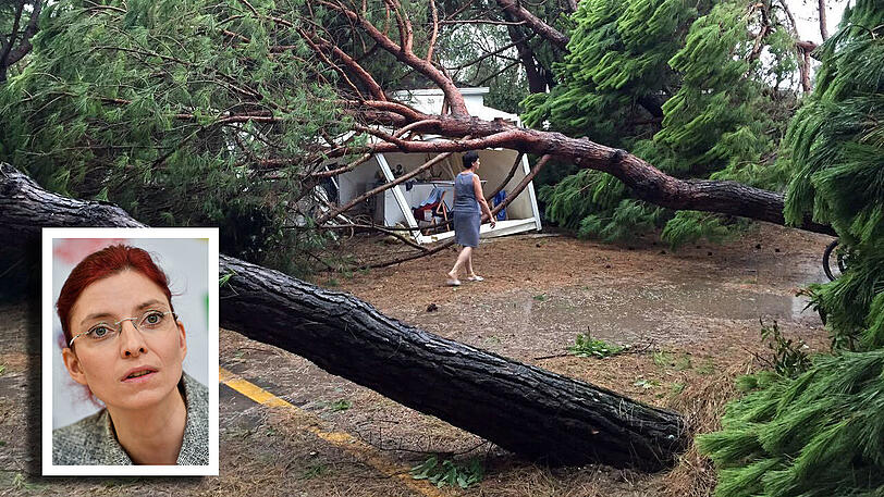 Die Unwetter entwurzelten zahlreiche Bäume. Brandenburgs Arbeits- und Sozialministerin Diana Golze (kleines Bild) wurde dabei schwer verletzt.