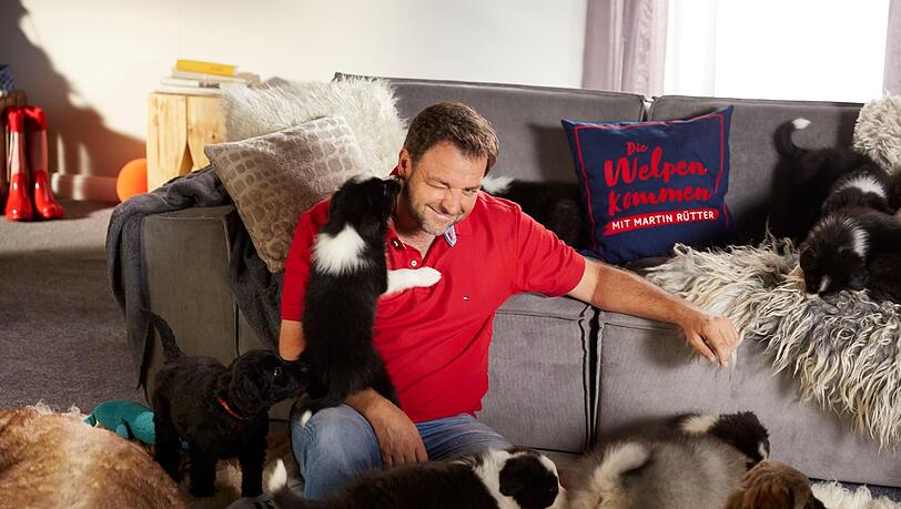 Hundeprofi Martin Rütter hatte mit seinen Welpen keinen leichten Quoten-Start.