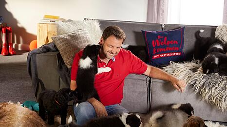 Hundeprofi Martin Rütter hatte mit seinen Welpen keinen leichten Quoten-Start.