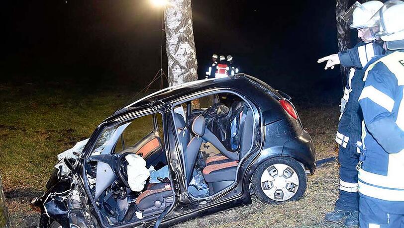 Ein Reh flog nach dem Zusammenstoß mit einem Wagen durch die Windschutzscheibe eines anderen Autos. Die Fahrerin wurde schwer verletzt und starb noch am selben Abend im Krankenhaus.