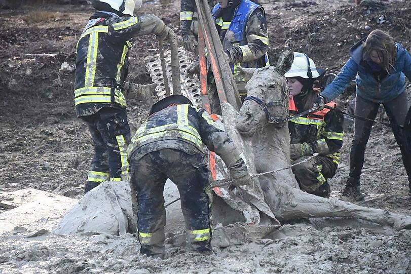 Die Feuerwehr Taufkirchen hat am Sonntag einen ungewöhnlichen Einsatz souverän erledigt: Das im Matsch versunkene Pferd wurde unversehrt gerettet.