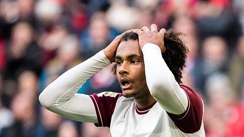 Joshua Zirkzee vom FC Bayern München greift sich mit beiden Händen in die Haare. Foto: Matthias Balk/dpa/Archivbild