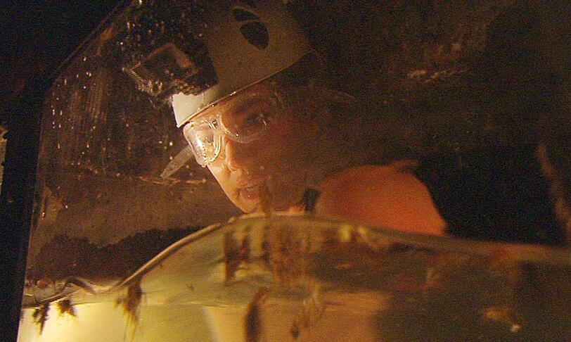 Larissa Marolt kann in einer Höhle bis zu elf Sterne finden. Sobald sie in der Höhle ist hat sie elf Minuten Zeit für die Herausforderung. Doch neben den elf Sternen sind auch Babypythons, Babykrokodile, Ratten, Kakerlaken, Grillen und Aale in der Höhle...