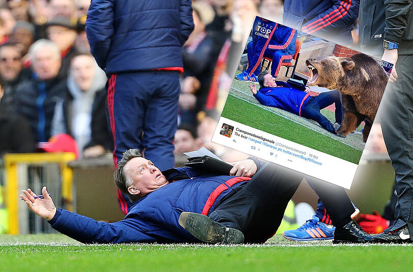 Louis van Gaal geht theatralisch zu Boden und spielt damit auf eine Situation im Spiel zwischen Manchester und Arsenal an.