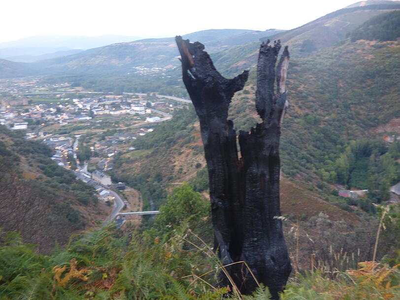 Immer wieder kommt es im Nordwesten Spaniens zu Waldbränden. Ihre Spuren sind auch auf dem Jakobsweg zu sehen.