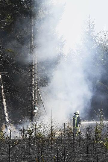Insgesamt 110 FEuerwehrleute waren im Einsatz, nach einer Stunde waren die Flammen gelöscht.