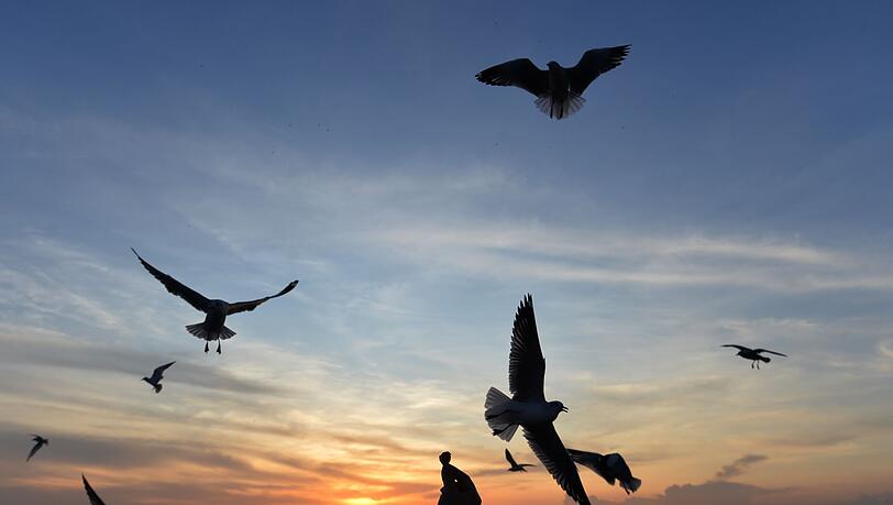 Sonnige Reiseziele sind laut Dertour besonders gefragt. (Archivbild)