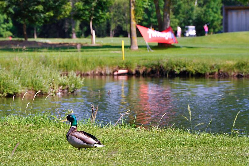 MUNICH GOLF MASTERS 2014: Die Bilder vom Turnier am Golfplatz "Münchner Golf Eschenried" vom 06. Juni 2014.