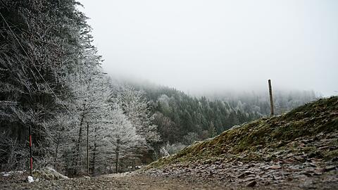 Die Wetteraussichten sind trist. (Symbolbild)