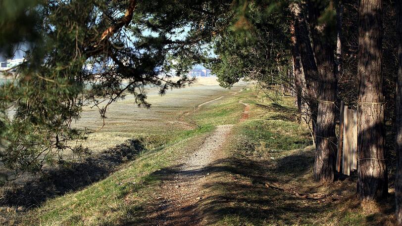 Immer am Wald entlang: Hier grenzt die Heidelandschaft an das Hartholz.