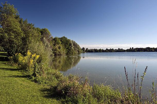 Viel Natur gibt es am Feldmochinger See. Viel Natur gibt es am Feldmochinger See.