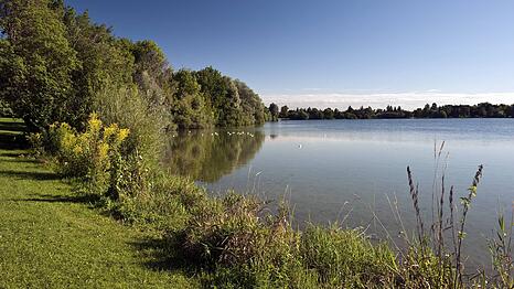 Viel Natur gibt es am Feldmochinger See.