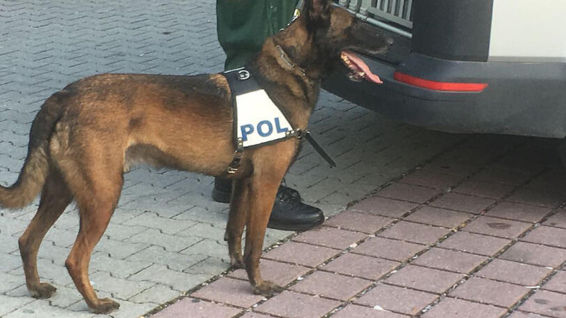 Die Polizei sucht nach Zeugen, die Angaben zur Tat machen können.