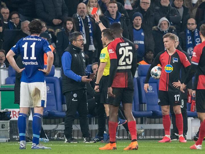 Wird nach seiner Roten Karte nicht gesperrt: Schalke-Coach David Wagner.