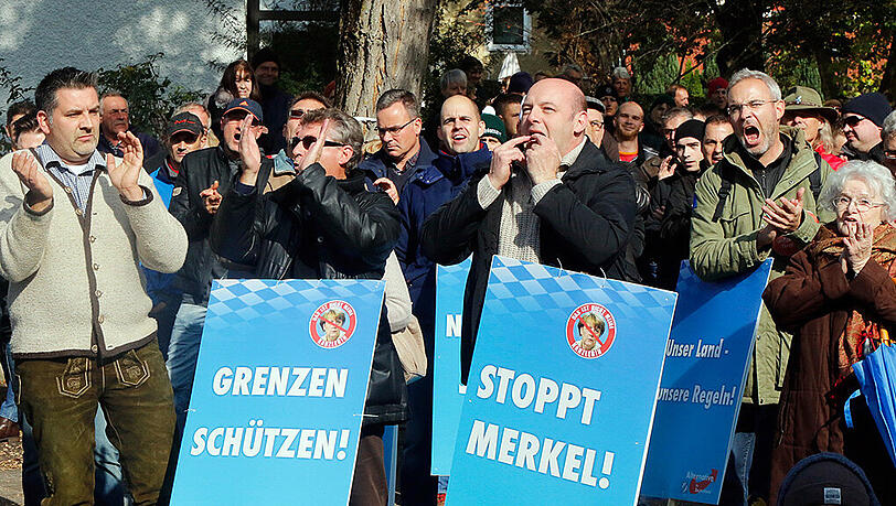 AfD-Anhänger auf Anti-Merkel-Demo: Laute elf Prozent. AfD-Anhänger auf Anti-Merkel-Demo: Laute elf Prozent.